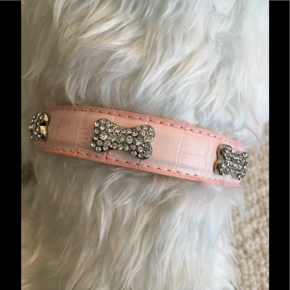 Statement Collar